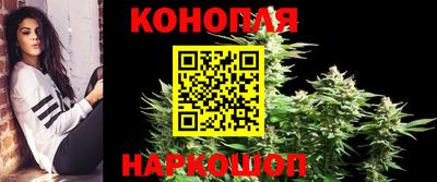 гидропоника Можга