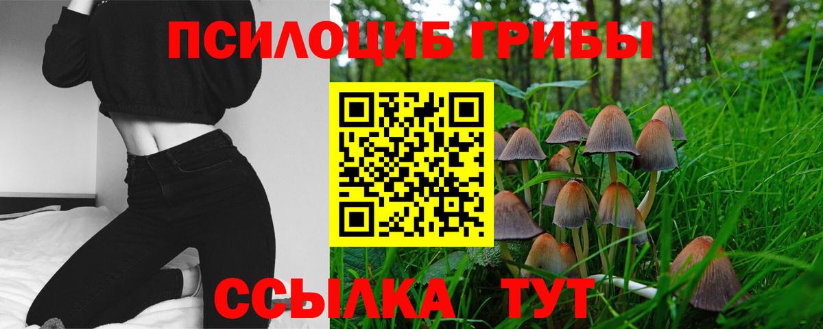 наркошоп  Галлюциногенные грибы Magic Shrooms  Энгельс  Вход с VPN  Псилоцибиновые грибы ЛСД 