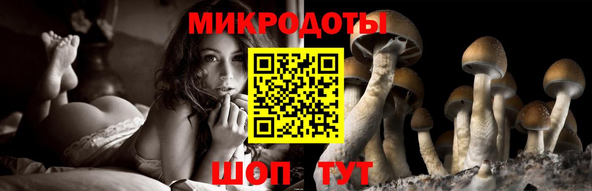 Галлюциногенные грибы ЛСД Энгельс